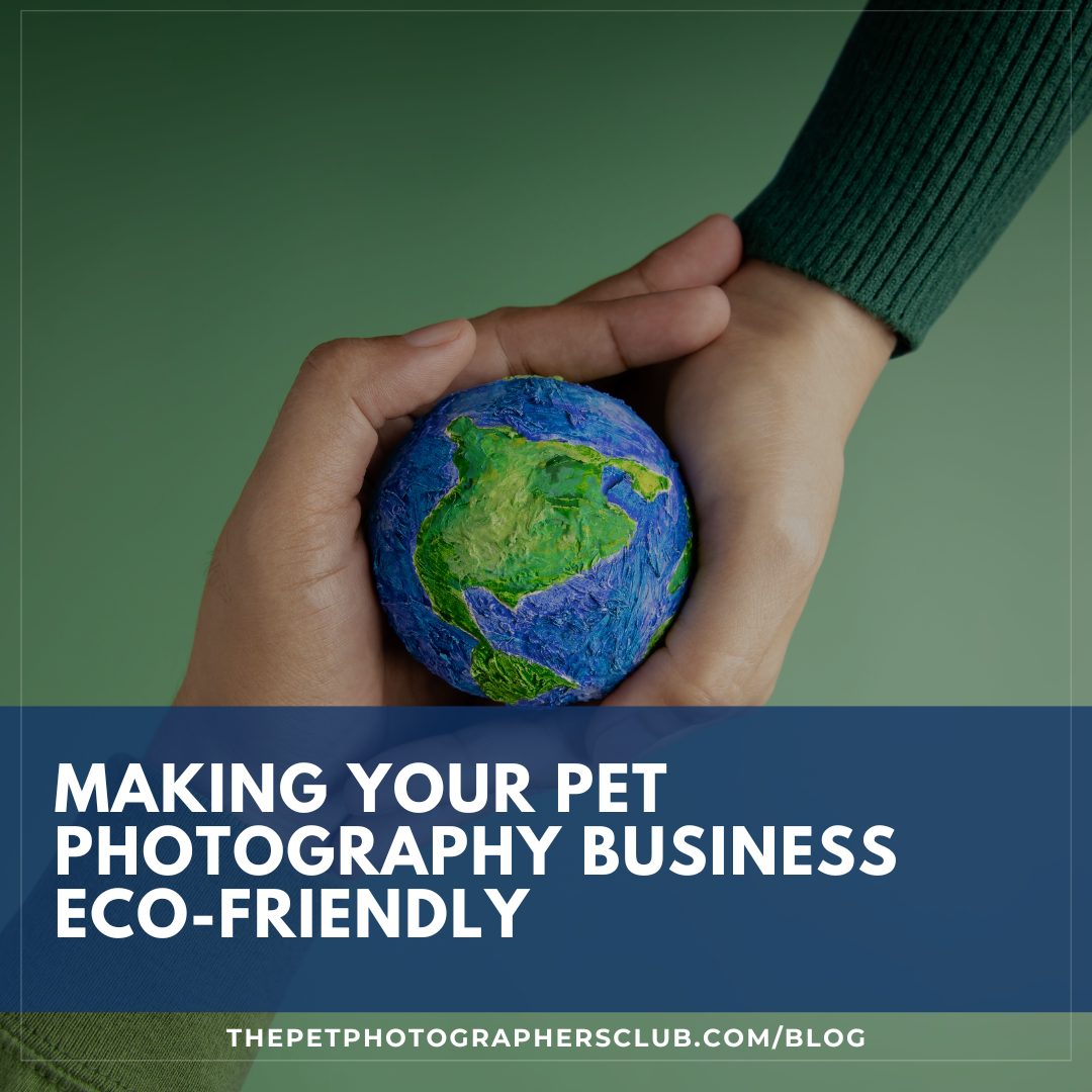 Making Your Pet Photography Business Eco-Friendly
