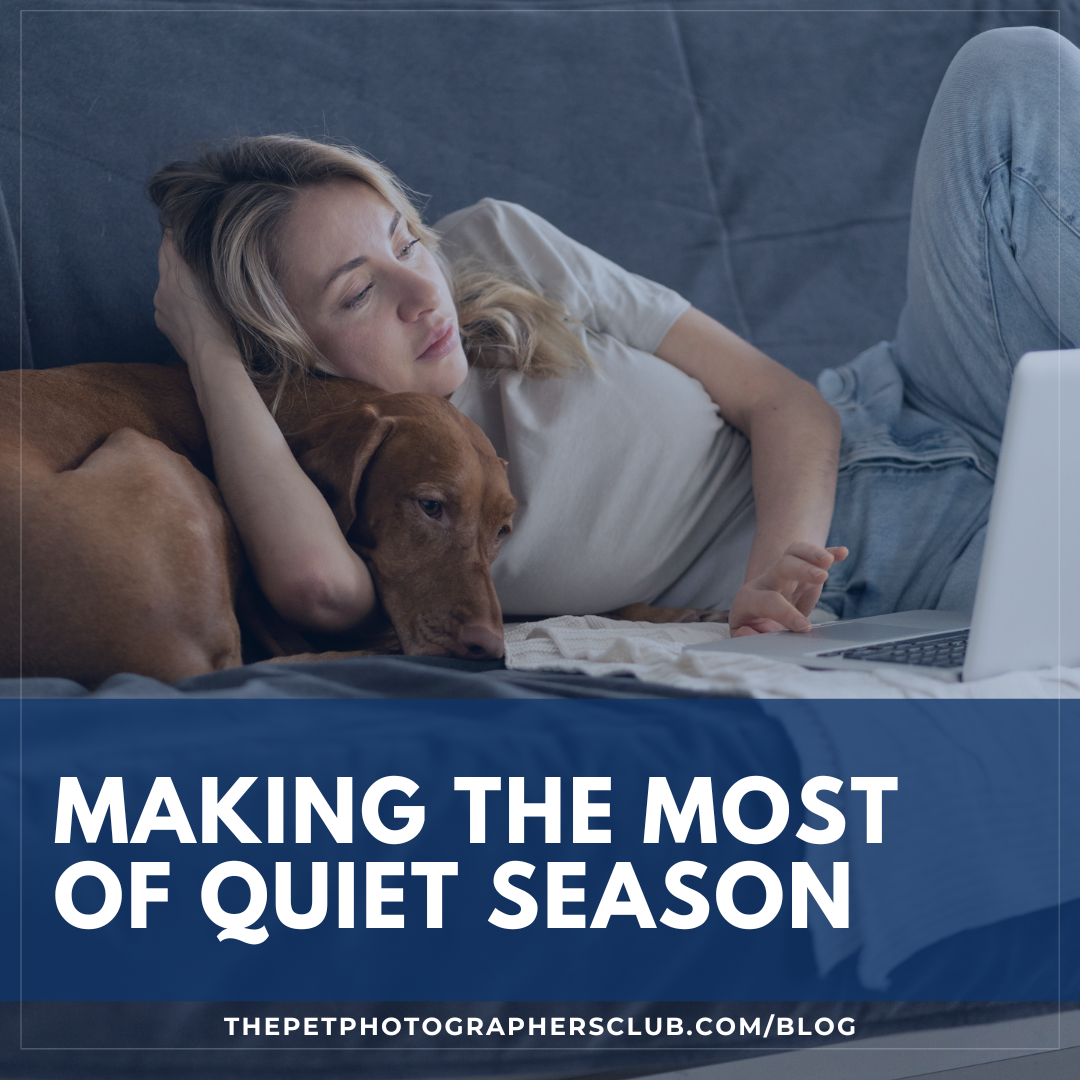 Making the most of quiet season as a pet photographer
