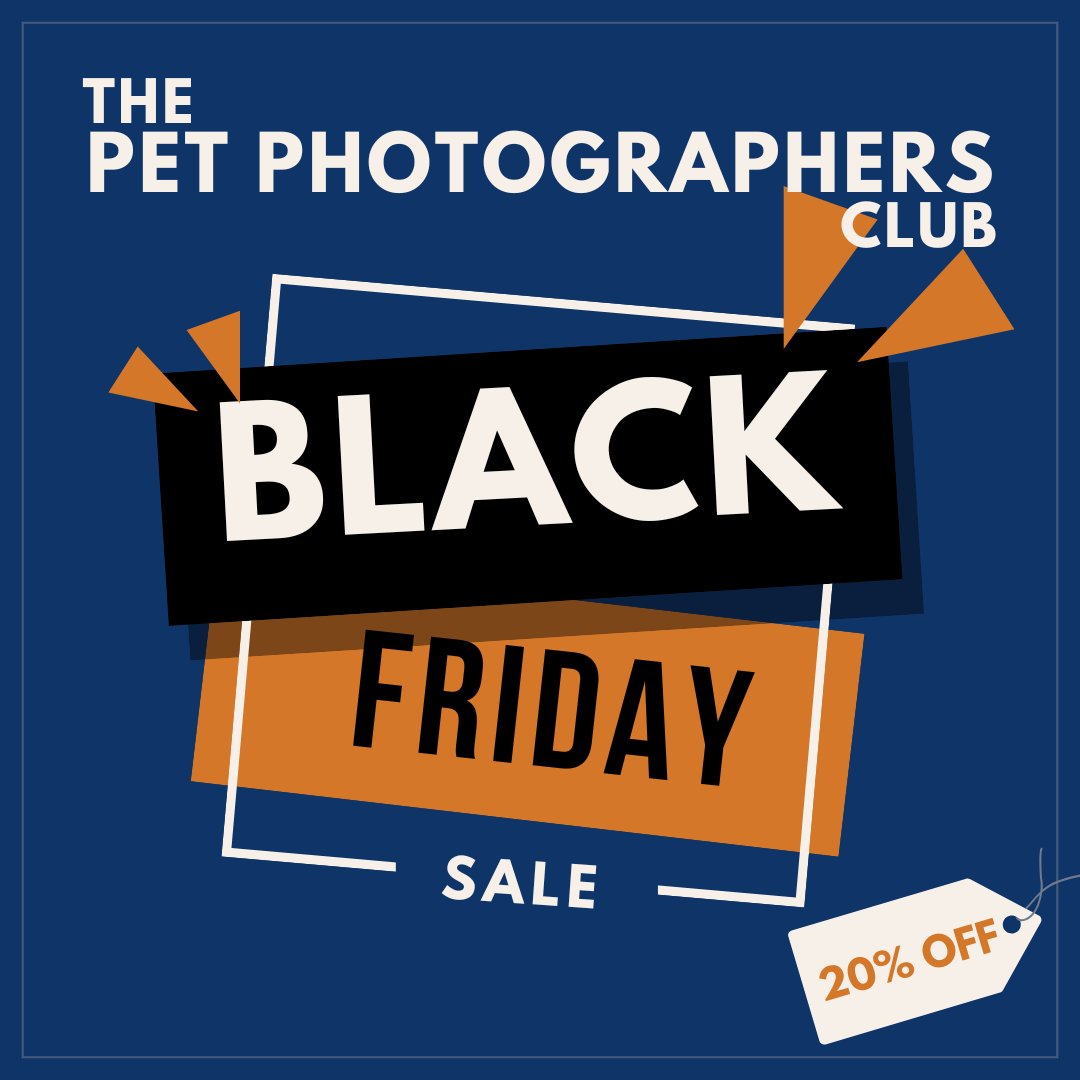 2024 Black Friday Deals for Pet Photographers